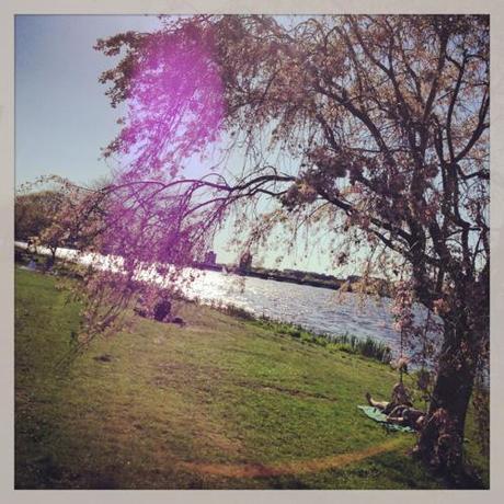 esplanade