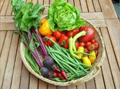 Harvest Monday 28th July 2014