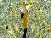 Installation
