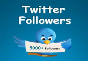 twitter followers 300x208 Five Social Media Marketing Websites That Can Help You Get More Twitter Followers 