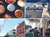 Instagram Lately: When Thursday?