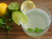 Ginger Mint Lime (Caffeine Refined Sugar Free)