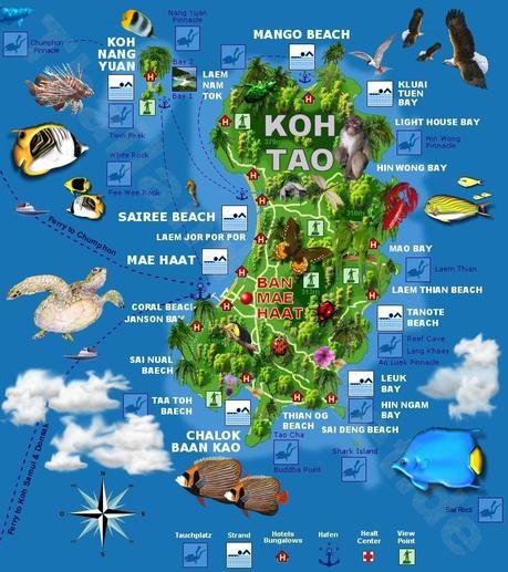 What is it like to dive in Paradise?
