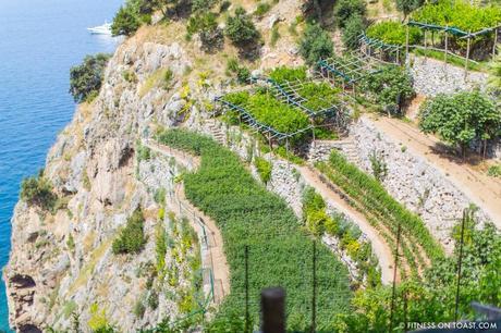 ACTIVE ESCAPE: POSITANO’S ‘IL SAN PIETRO’ Fitness On Toast Faya Blog Girl Blogger Idea Cosmpolitan Exercise Travel Healthy Trip Hotel Italy Positano Il San Pietro Relais Chateau Luxury Retreat Spa Gym Garden Gym Boat Yacht 5 Star Organic Health Escape Break Trip Spinning-33