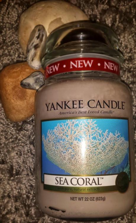 Sea Coral Yankee Candle Review