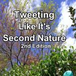Learn the latest on how to Tweet on Twitter