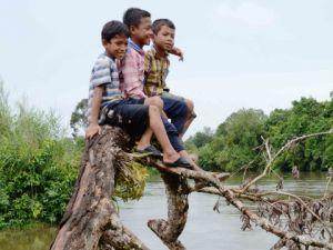 Chong boys playing up a tree by the Areng river. Photo: Rod Harbinson.