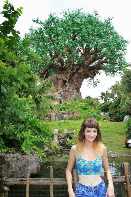 MY DISNEY DIARY/MY 21ST BIRTHDAY