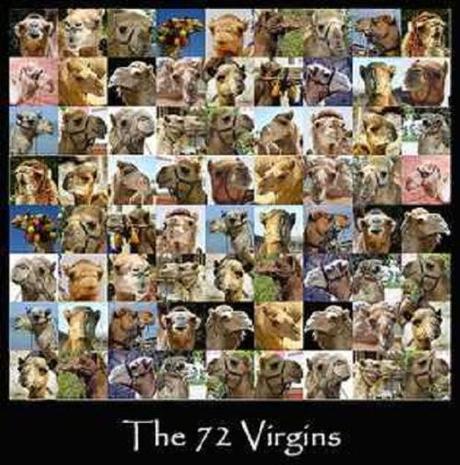 72-virgins-photo