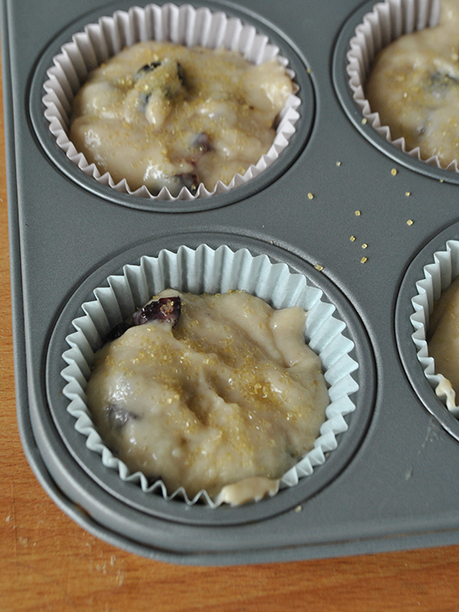 Cherry Vanilla Muffin