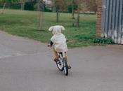 Silva "Don't Love" (Feat. BANKS)