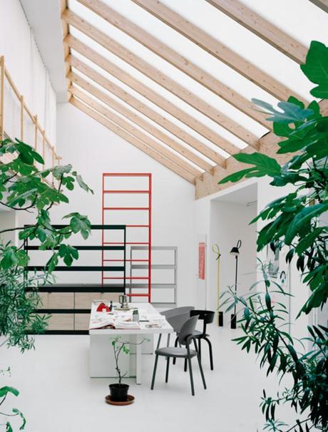 Stefan Diez for HAY | An office like a jungle