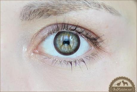 GEO Geolica Euro Circle Dark Brown Circle Lenses Review