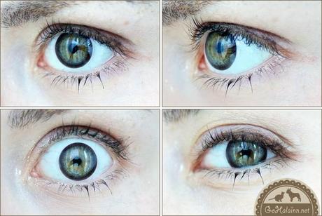 GEO Geolica Euro Circle Dark Brown Circle Lenses Review