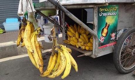 Top 10 Strange, Rare and Unusual Bananas