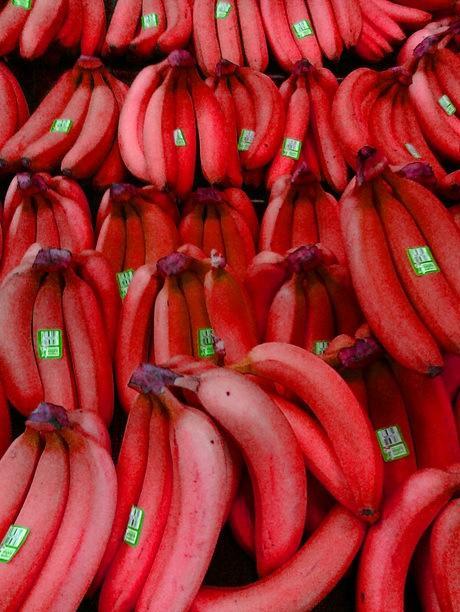 Top 10 Strange, Rare and Unusual Bananas