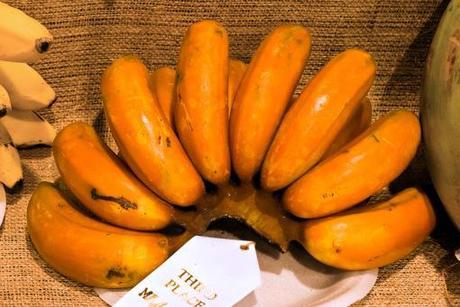 Top 10 Strange, Rare and Unusual Bananas