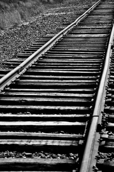 Train Tracks 2 WM