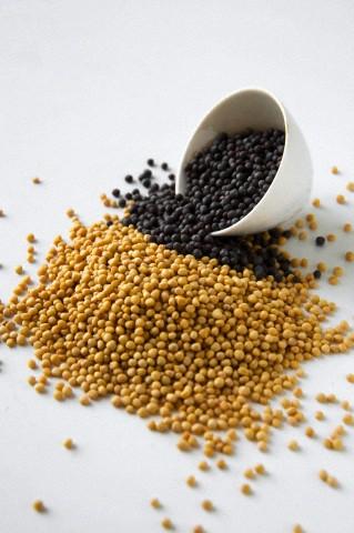 Mustard Seeds for health