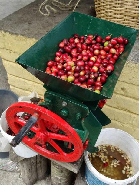 Processing coffee cherries