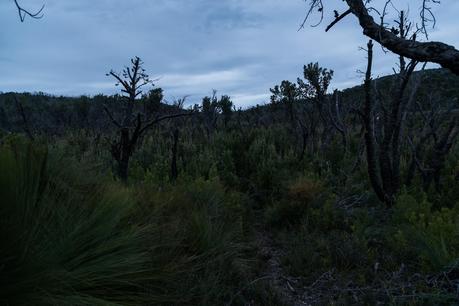 fading light tin mine track wilsons promontory