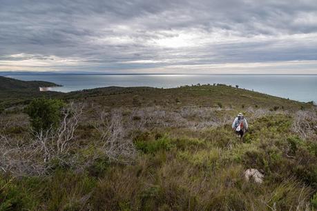 johnny souey track wilsons promontory