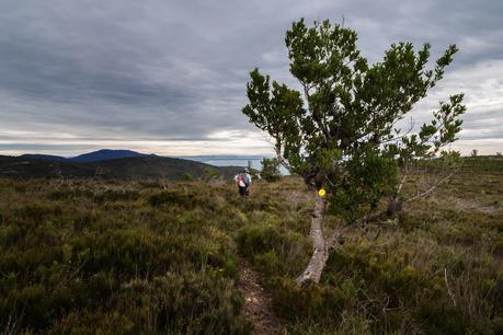 johnny souey track wilsons promontory