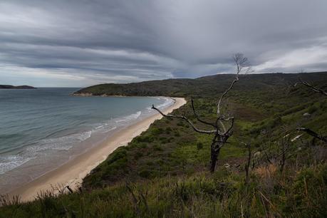 johnny souey cove from three mile point wilsons promontory 