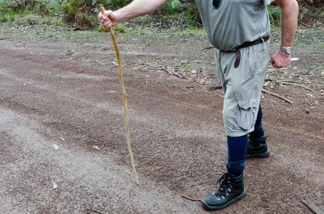 handmade walking stick