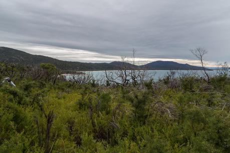 scrub three mile point wilsons promontory 