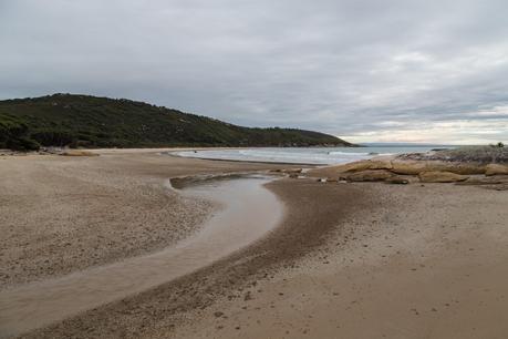 johnny souey cove wilsons promontory