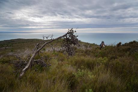 johnny souey track wilsons promontory