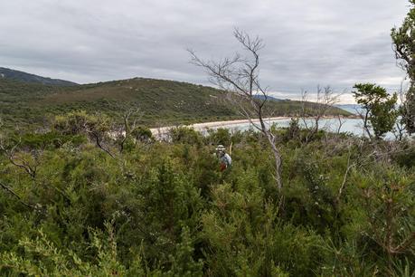 scrub near johnny souey cove wilsons promontory