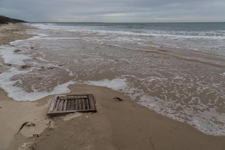 timber flotsam three mile beach wilsons promontory  