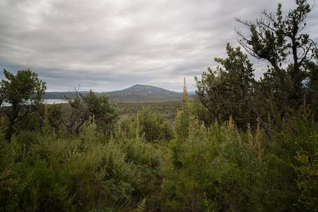 tin mine cove from tin mine track wilsons promontory 