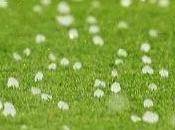 Hailstorm Gabba, Brisbane...... Stoppage Test..