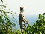 Statue sticking out of the lush canopy