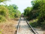 Approaching another bamboo train