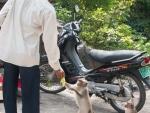 Man feeding a monkey a piece of fruit