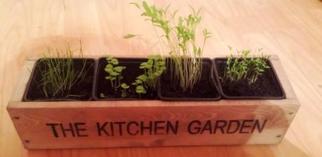 Grow your own #31daysoffun