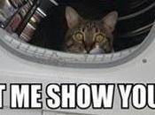 Entrepreneur Ideas That Investors Often