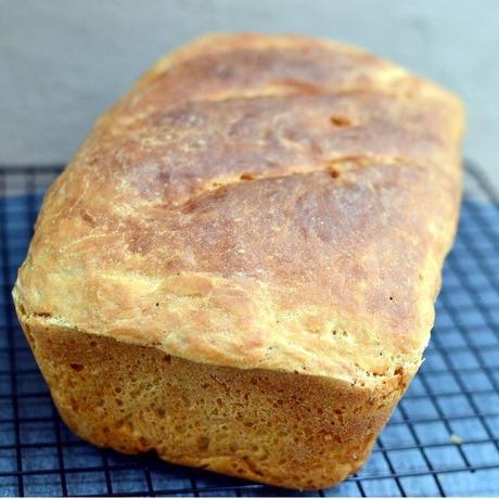 No-Knead Light Whole Wheat Bread