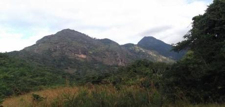 Tanzanian Conservationists propose ways of securing the Eastern Arc Mountain forests | BirdLife