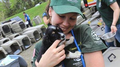 Commend Organizations for Rescuing Animals From Puppy Mill