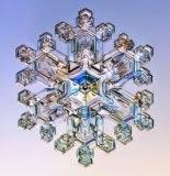 The positive aspects of having an Autistic/Asperger's person in your congregation