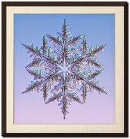 The positive aspects of having an Autistic/Asperger's person in your congregation