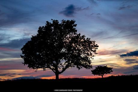 Father Son Beautiful and Dreamy Pictures of Denmark (Gallery)