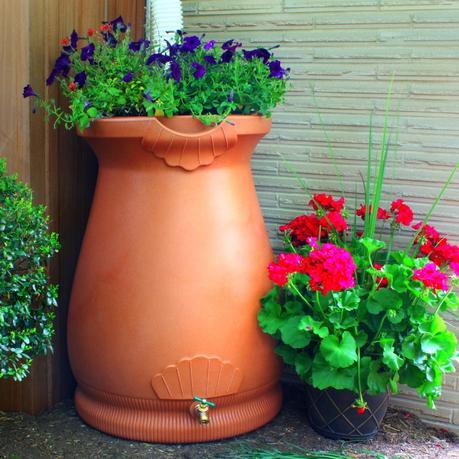 Rain Barrel