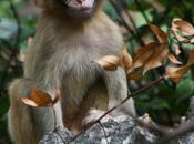 Wisconsin: Sadist’s Paradise