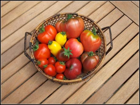 Harvest Monday - 4th August 2014